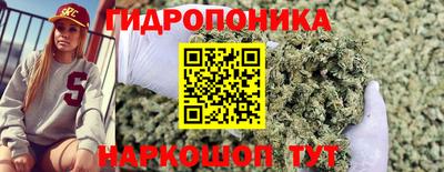 стафф Пушкино