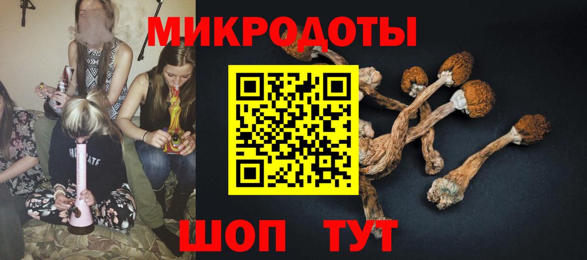 Партизанск  Псилоцибиновые грибы Psilocybe  наркотики  Вход с VPN  Псилоцибиновые грибы прущие грибы 