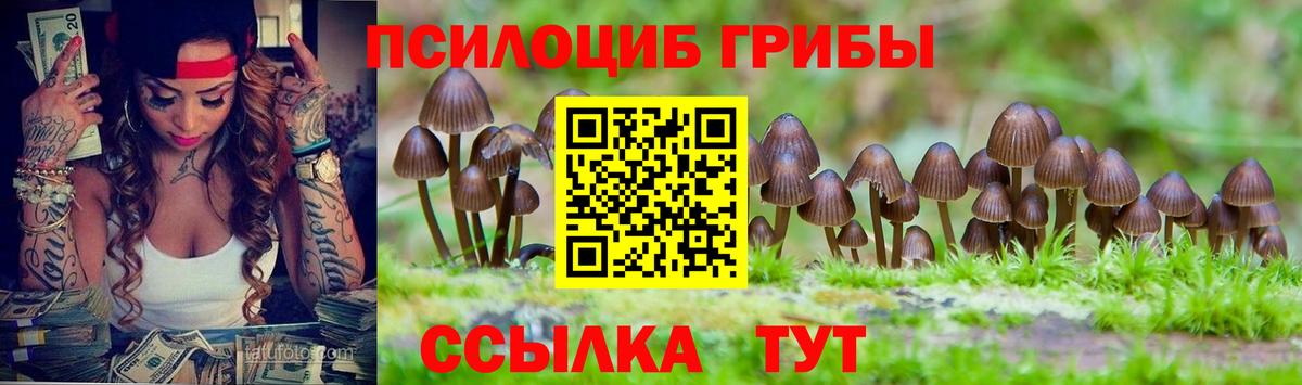 Галлюциногенные грибы Magic Shrooms Партизанск